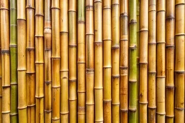 Bamboo natural fibre material