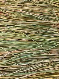 Kans Grass natural fibre material